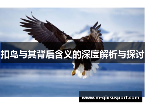 扣鸟与其背后含义的深度解析与探讨